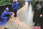 浙江16970人受灾 遂昌暴雨洪灾泥石流