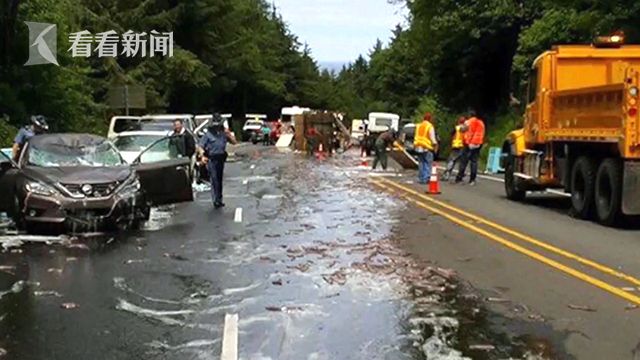 鳗鱼喷黏液铺道路