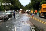 鳗鱼喷黏液铺道路很滑