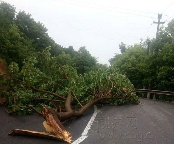 重庆雷电劈死200斤肥猪 周末高温雷雨大风并存