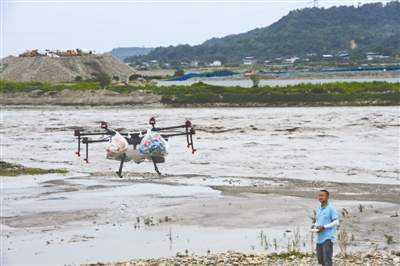 143人被困美丽岛