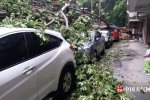 福州台风玛莉亚来袭 大风和暴雨经过城市一片狼藉