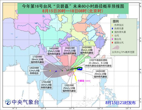 台风贝碧嘉登陆广东