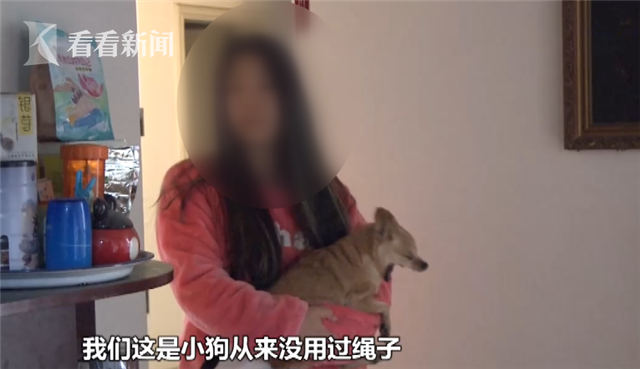 女童被无绳犬吓到休克