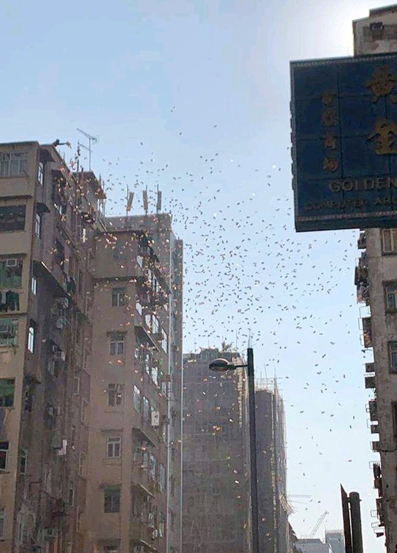 香港上演天上掉钱