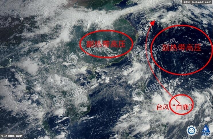 台风白鹿登陆哪里 11号台风路径分析