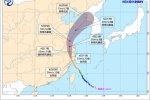 黑木耳台风影响浙江 带来暴雨局部特大暴雨