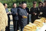 金正恩承认朝鲜严重缺粮 1公斤香蕉45美元