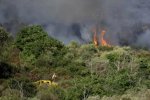 西班牙布拉瓦海岸森林火灾数百人撤离