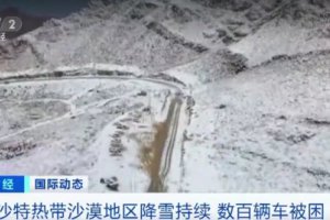 为看雪景 沙特数百辆车堵在路上