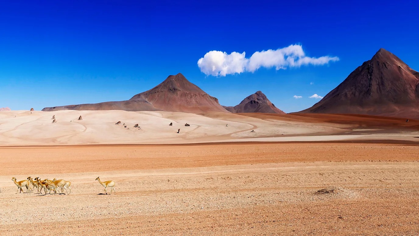 这条路线穿过超现实的萨尔瓦多·达利沙漠（图片来源：Alamy）